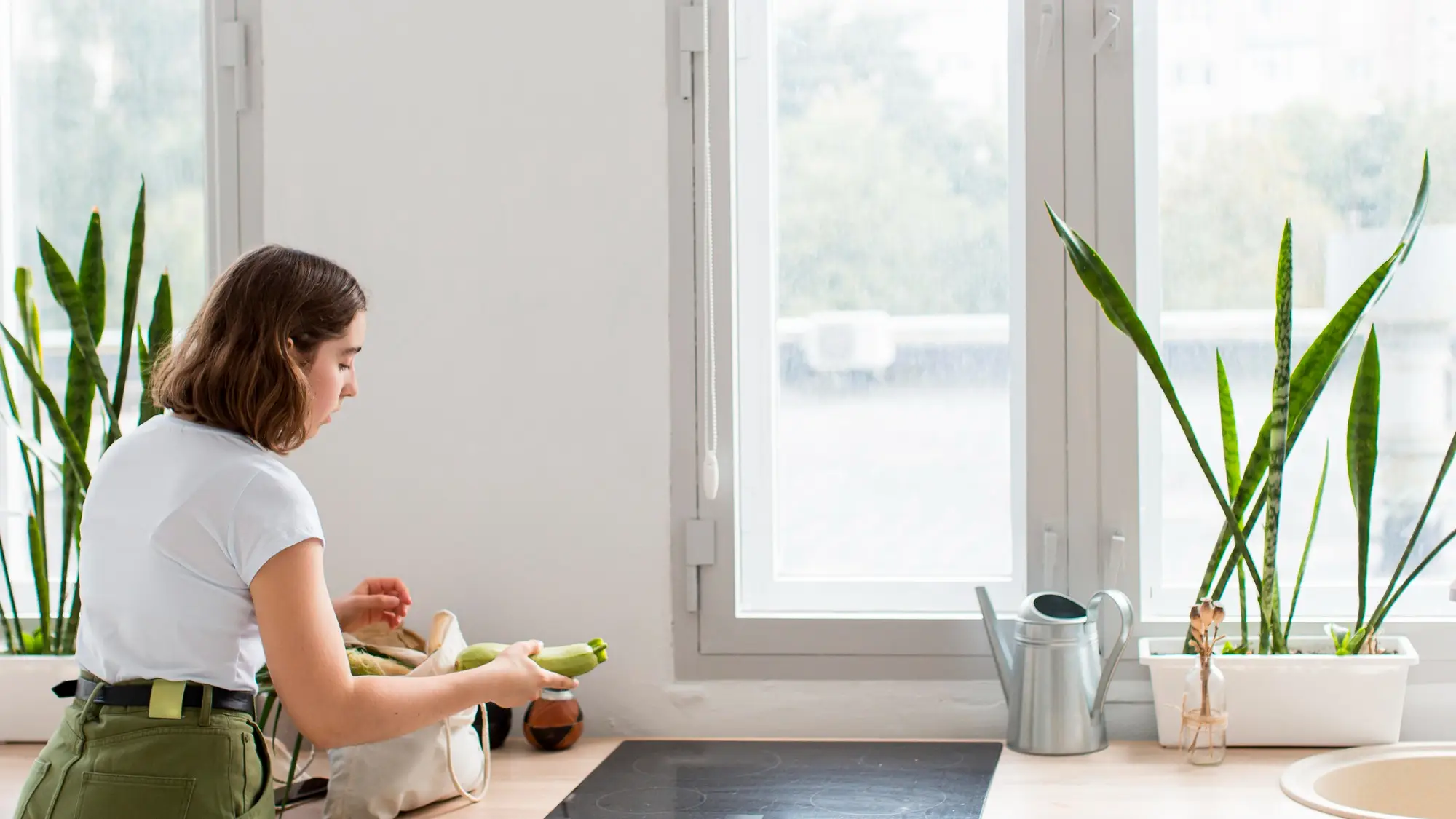 upvc windows